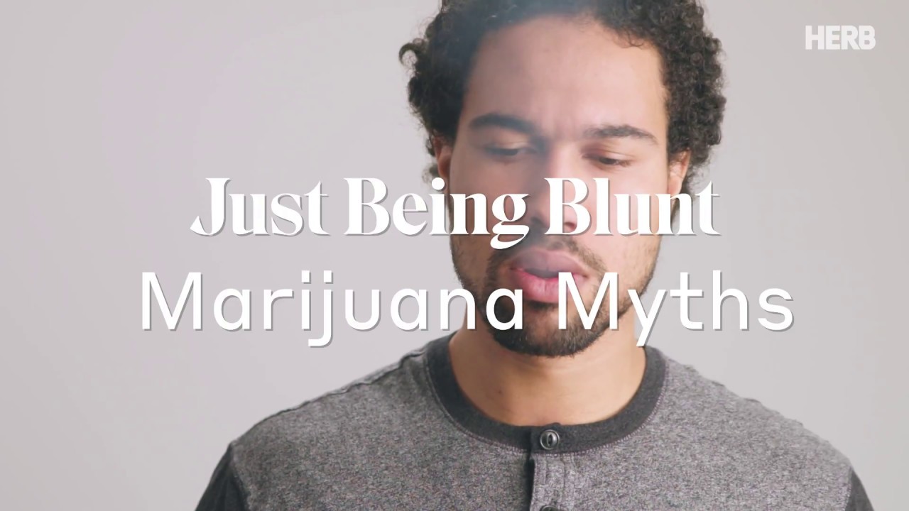 Top Marijuana Myths | Just Being Blunt | Herb