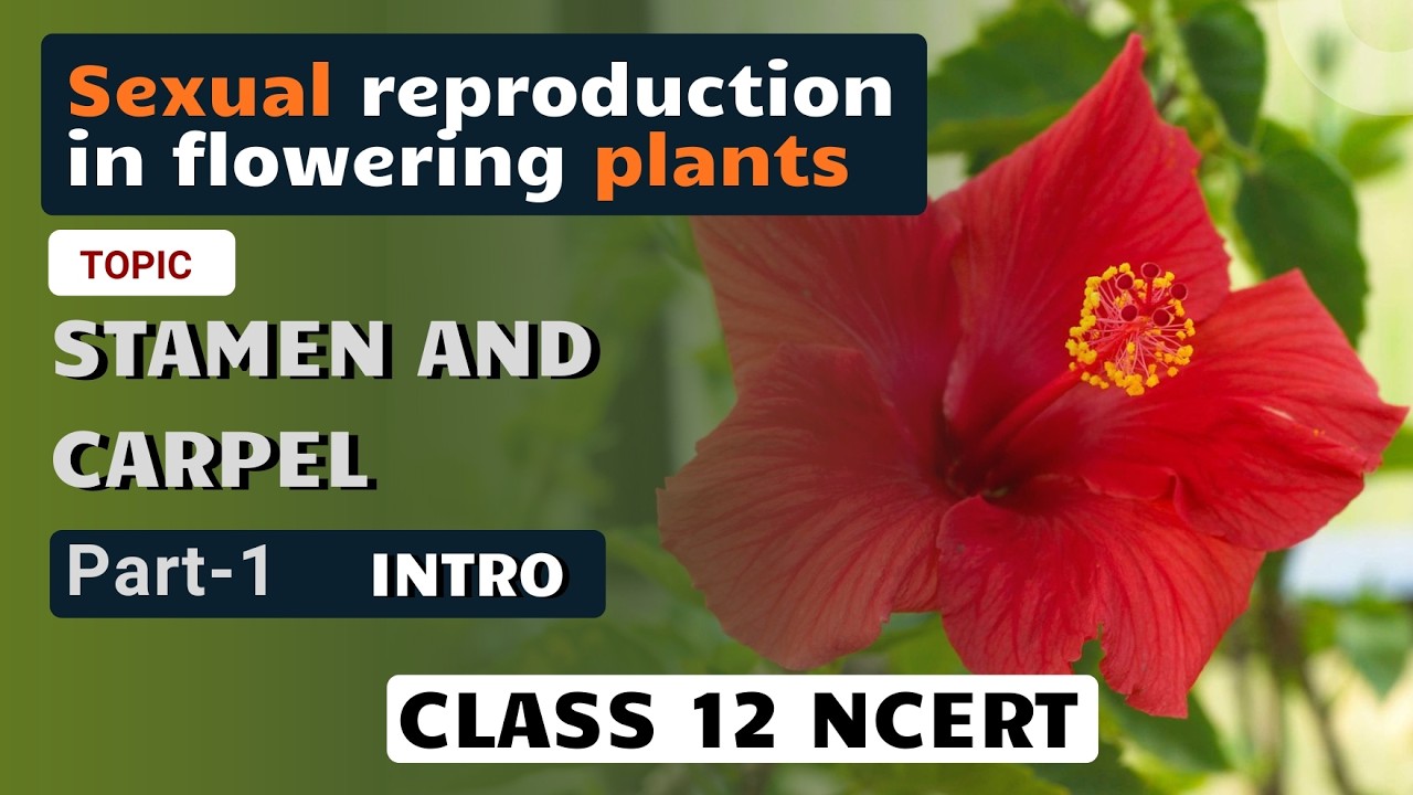Sexual reproduction in flowering plants | Stamen and Carpel |  Part 1 | Intro |  NCERT Line By Line