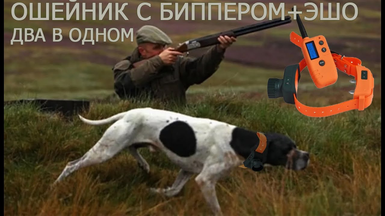 Электронный ошейник с бипером PET 910 для охотничьих собак