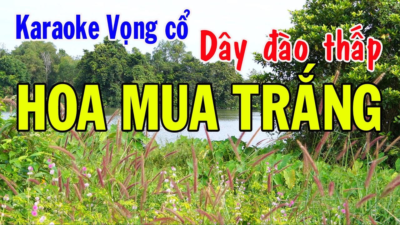 Karaoke vọng cổ HOA MUA TRẮNG  - DÂY ĐÀO THẤP [Bản hay]