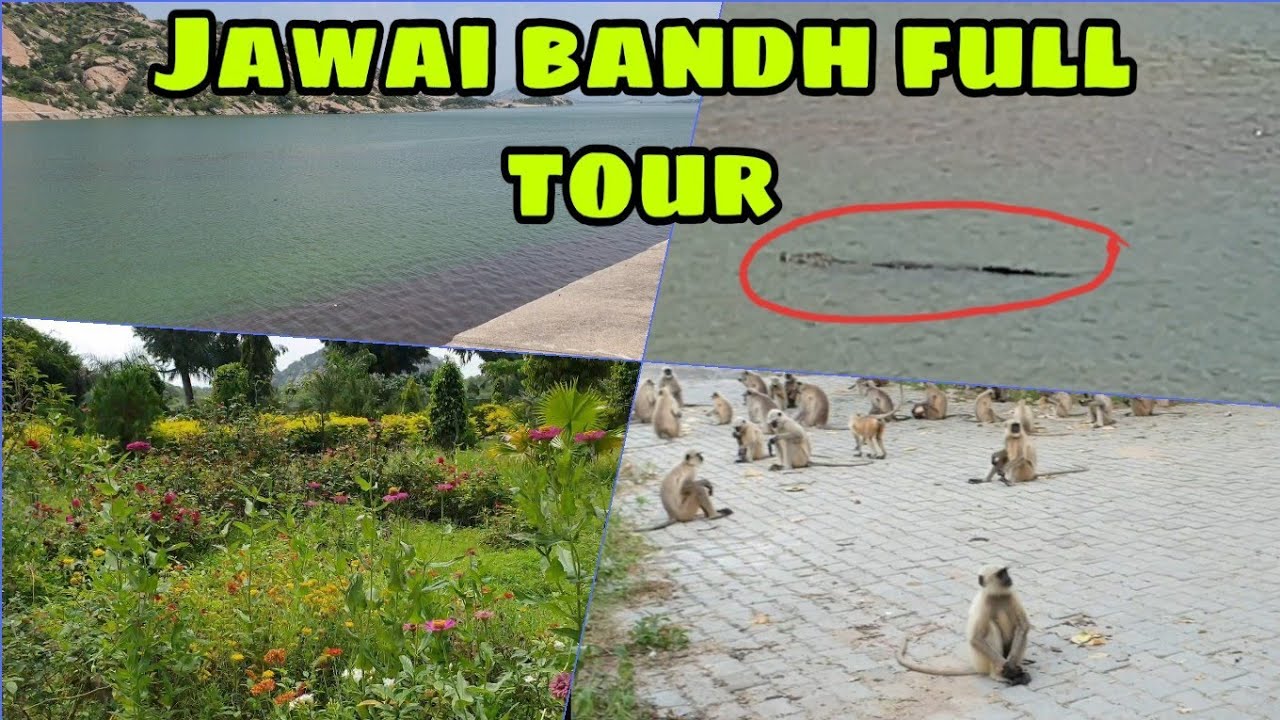 Jawai bandh || splendid view of jawai bandh || जवाई बांध