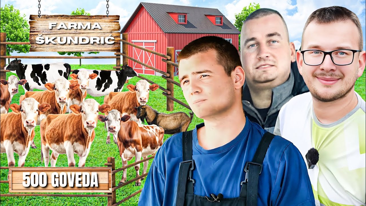 POSJETILI SMO FARMU OD 500 GOVEDA I KUPILI 3 TELETA!! /w Komšija Mirko