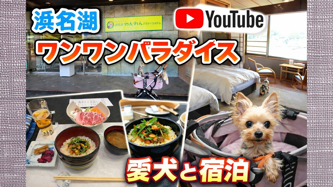 ペットと一緒に【浜名湖ワンワンパラダイスホテル】
