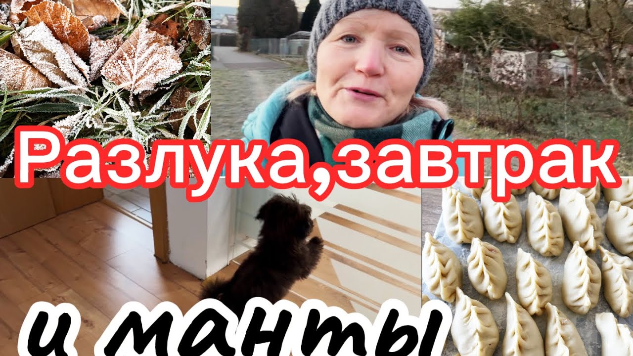 Этот момент разрывает сердце..любовь собаки/ Мороз…завтрак и манты #olgaбудеигермании 