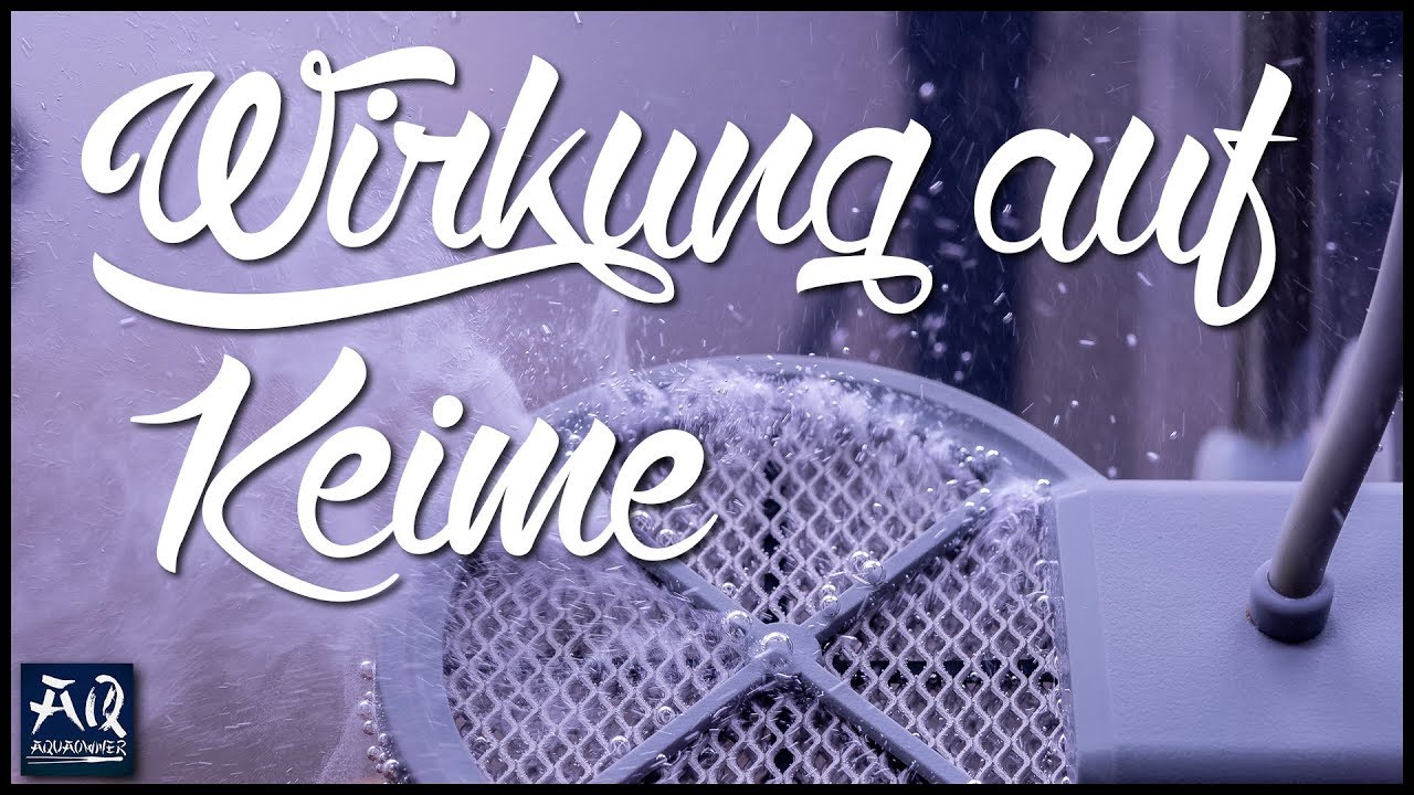 Twinstar Wirkung auf Keime im Aquarium | AquaOwner