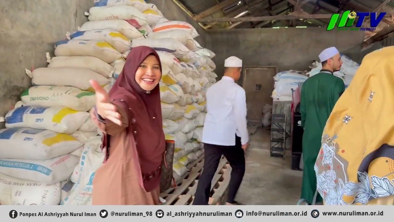 Panen Budidaya Padi