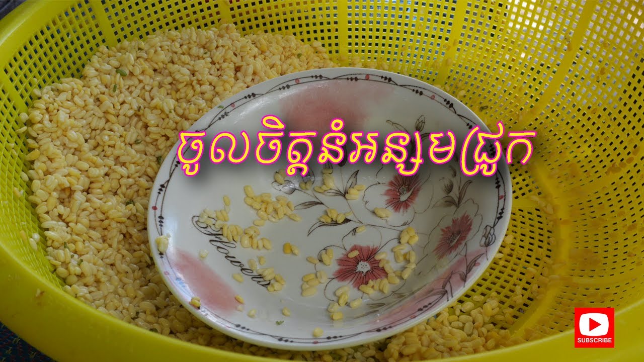 Cambodia’s Best-Kept Food Secret: Ansam Chrouk (Public Holiday Must-Have!)