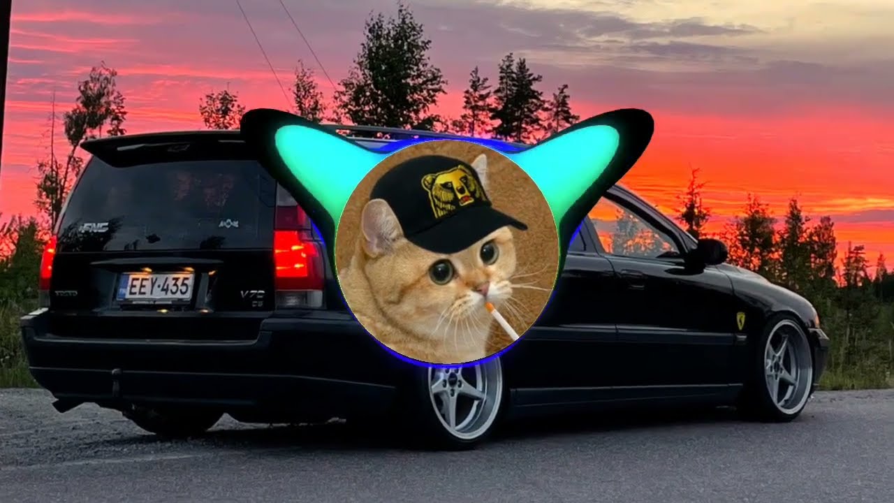 AmisPoppia - Tu Vivi Nell'aria (Bass Boosted)