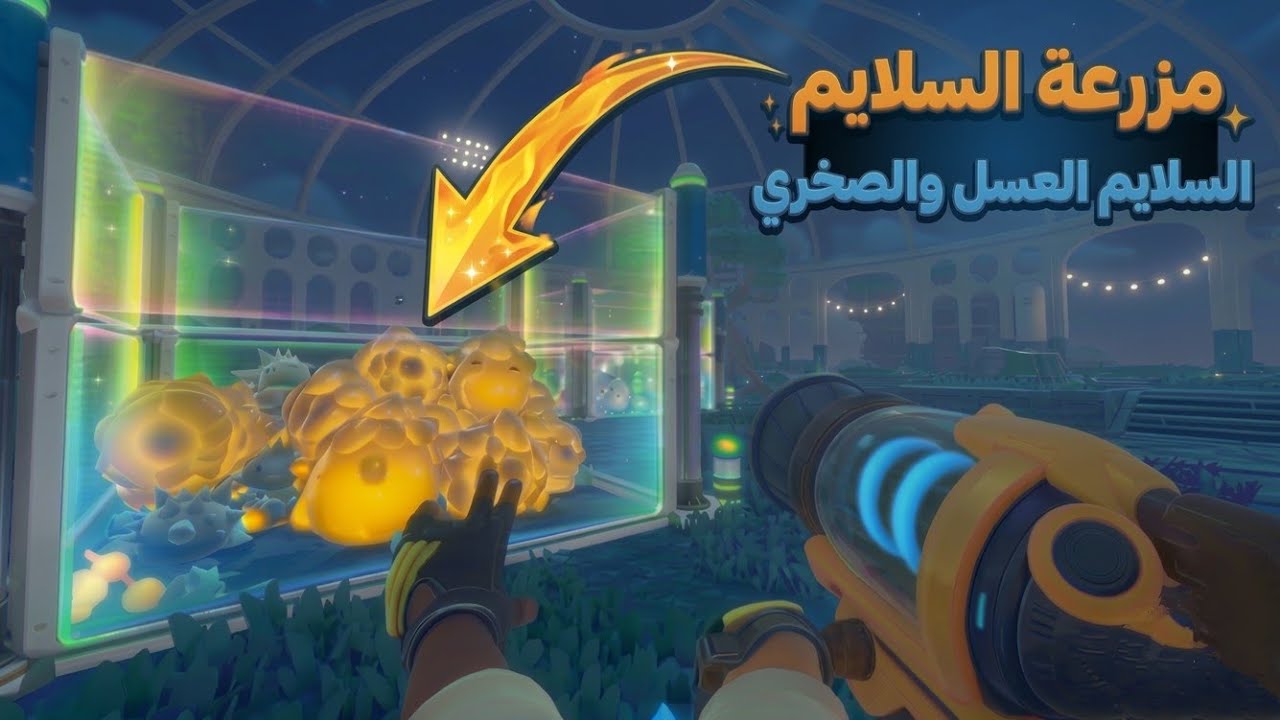 مزرعة السلايم: حصلت على السلايم العسل والصخري! | Slime Rancher