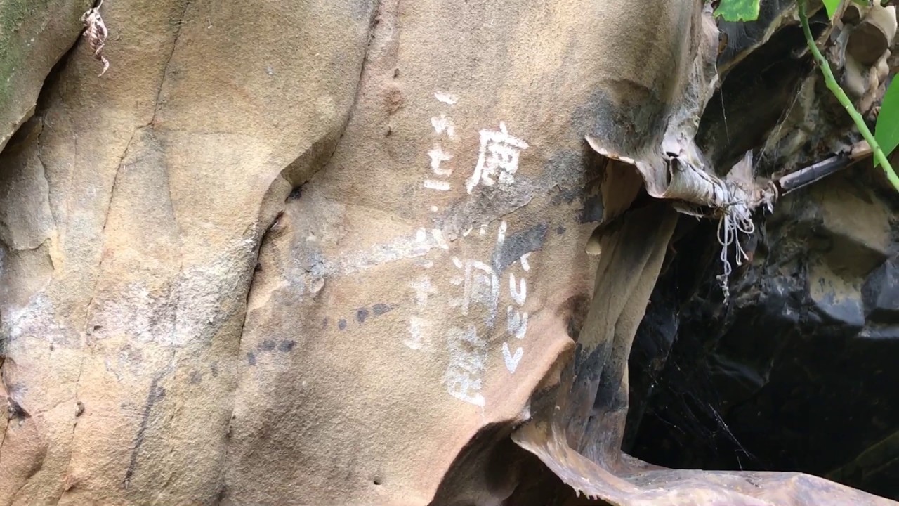 西表島 鹿川洞窟に潜入！