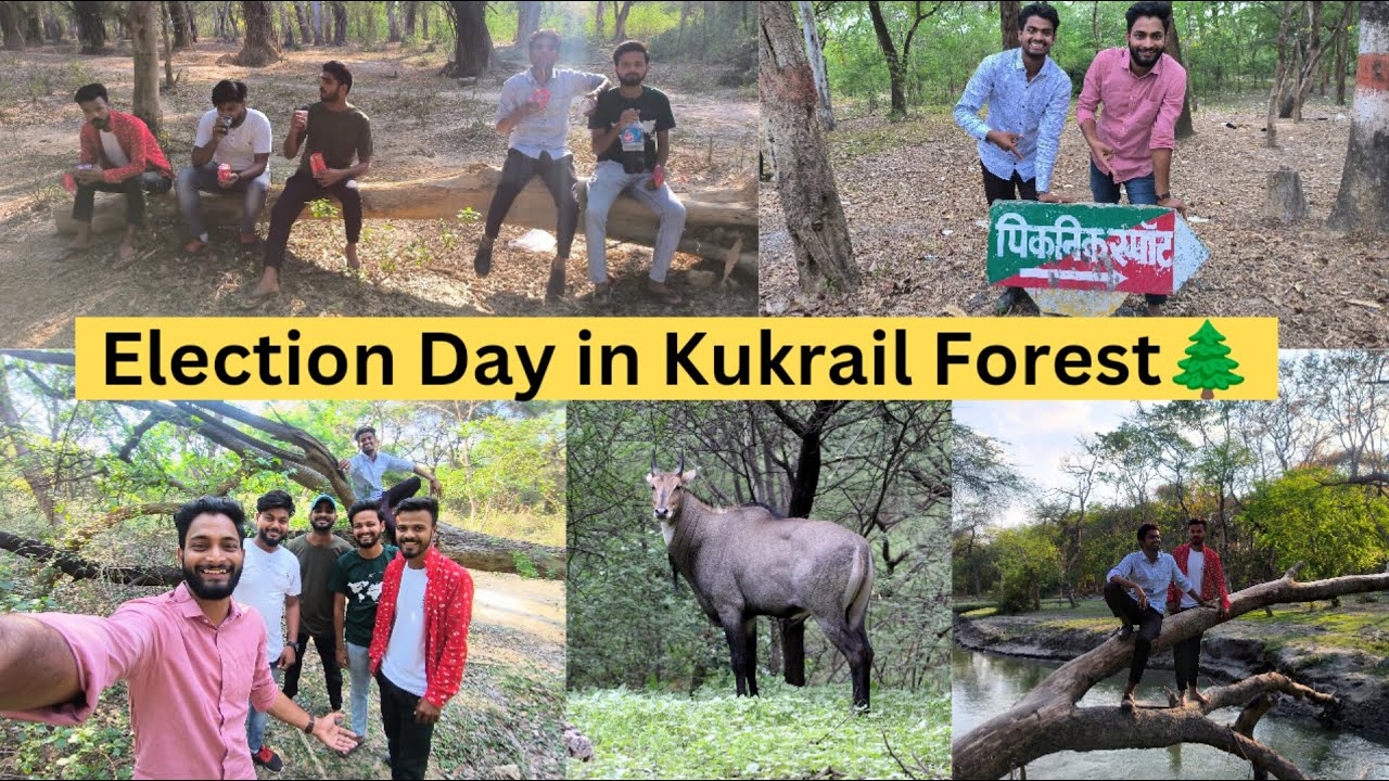 I saw Three animals in Kukrail Jungle || Wildlife Experience