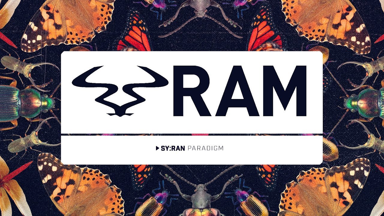 SyRan - 'Paradigm'