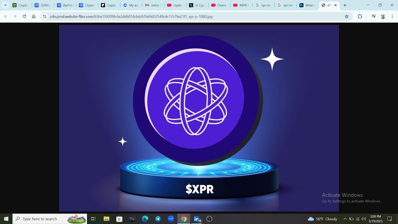 #XPR #МЕТАЛЛ БЛОКЧЕЙН/ БЕЗУМНЫЙ ПРОГНОЗ ЦЕН, МАРШАЛЛ ХАЙНЕР СКАЗАЛ ЧТО-ТО ОЧЕНЬ ВАЖНОЕ!!🚨