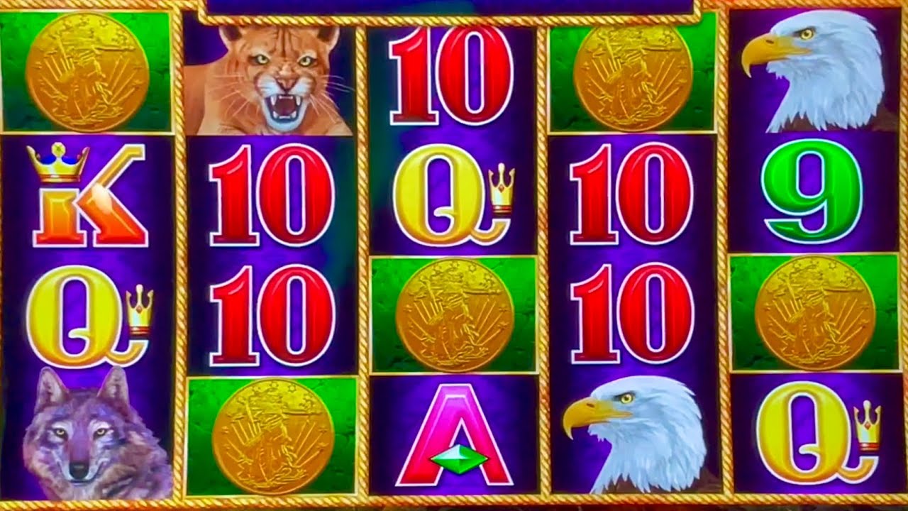 ANOTHER FIVE COIN WIN #buffalolink #buffalo #slotman #wow #win #casino #chumashcasino #slots #winner