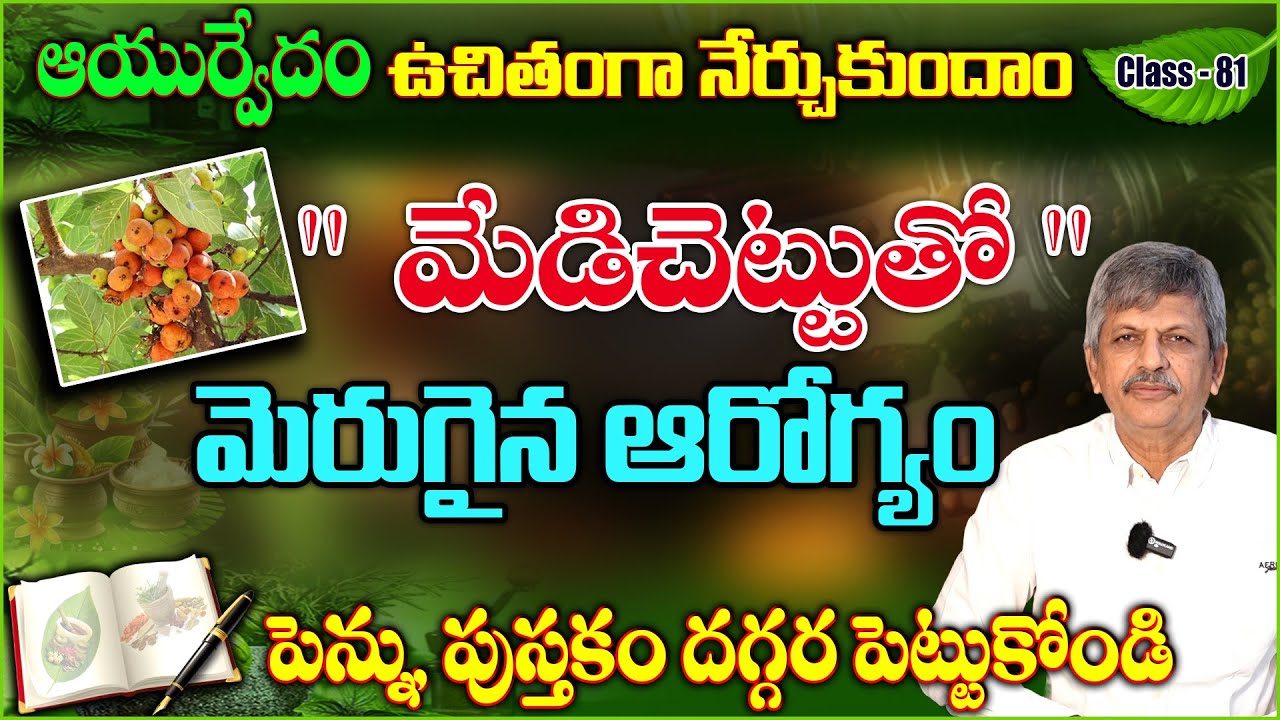 Learn Ayurveda | Free Classes 81 | Medi Chettu | Health Benefits of Medi Chettu | B Anjaneya Raju