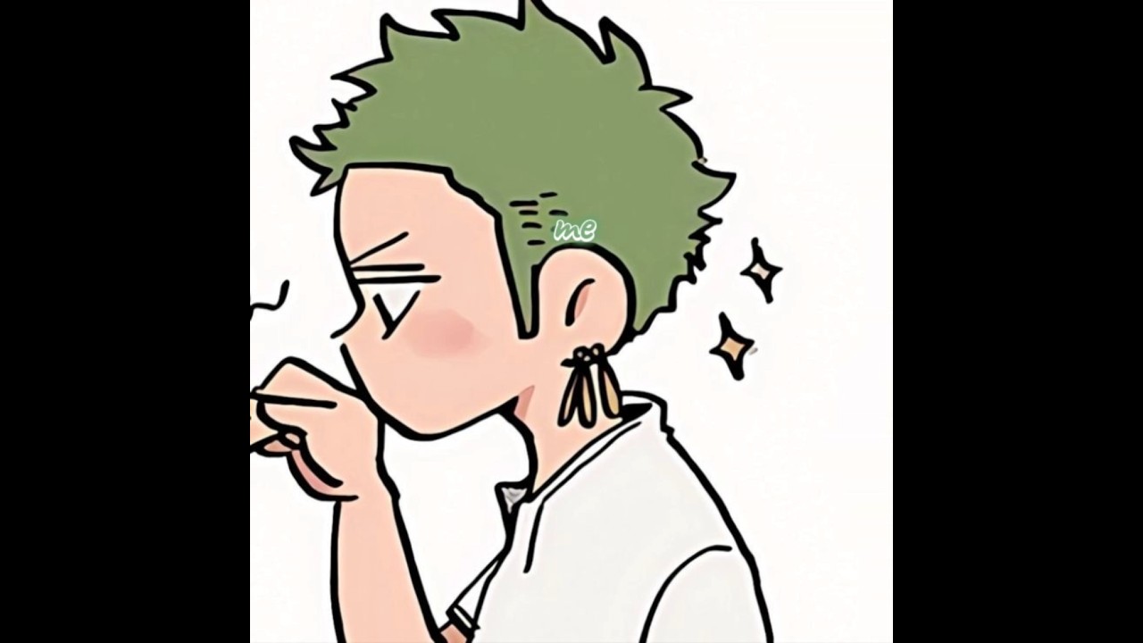 #onepiece#luffyandzoro yeah I'm a zolu shipper obviously should I stop posting zolu or keep going♡