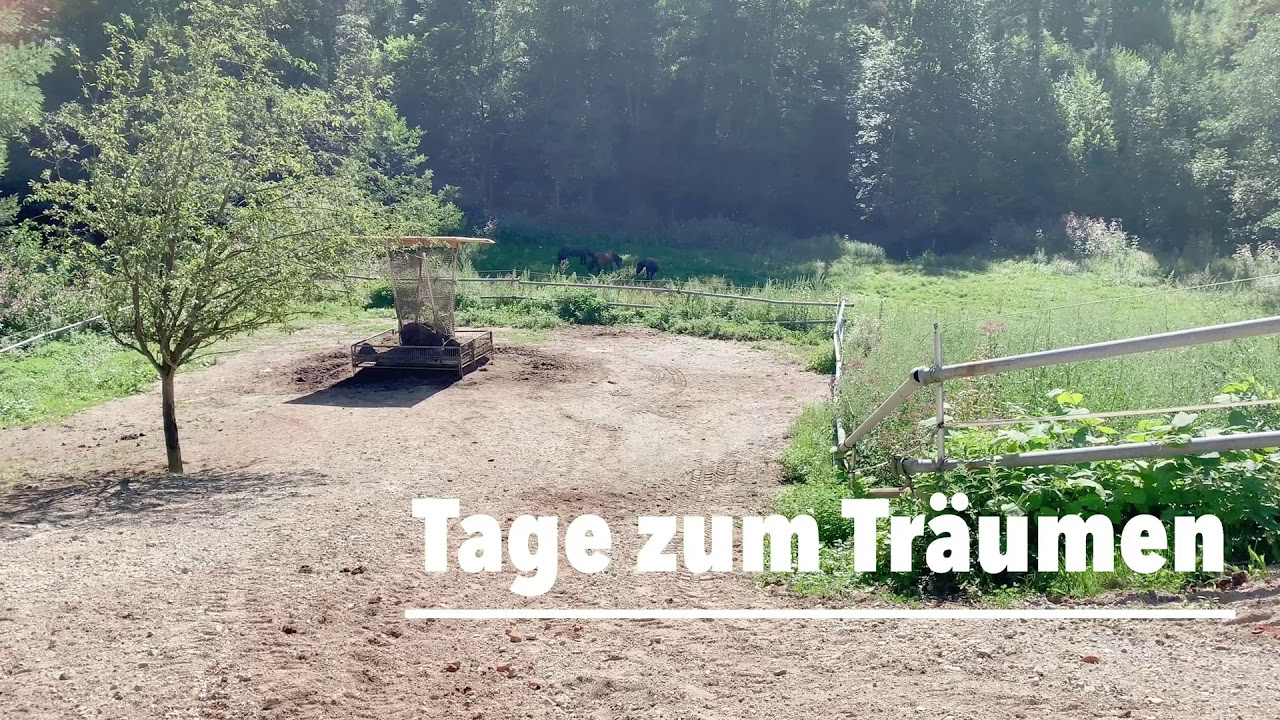 Besuch in Frauendorf 08/19