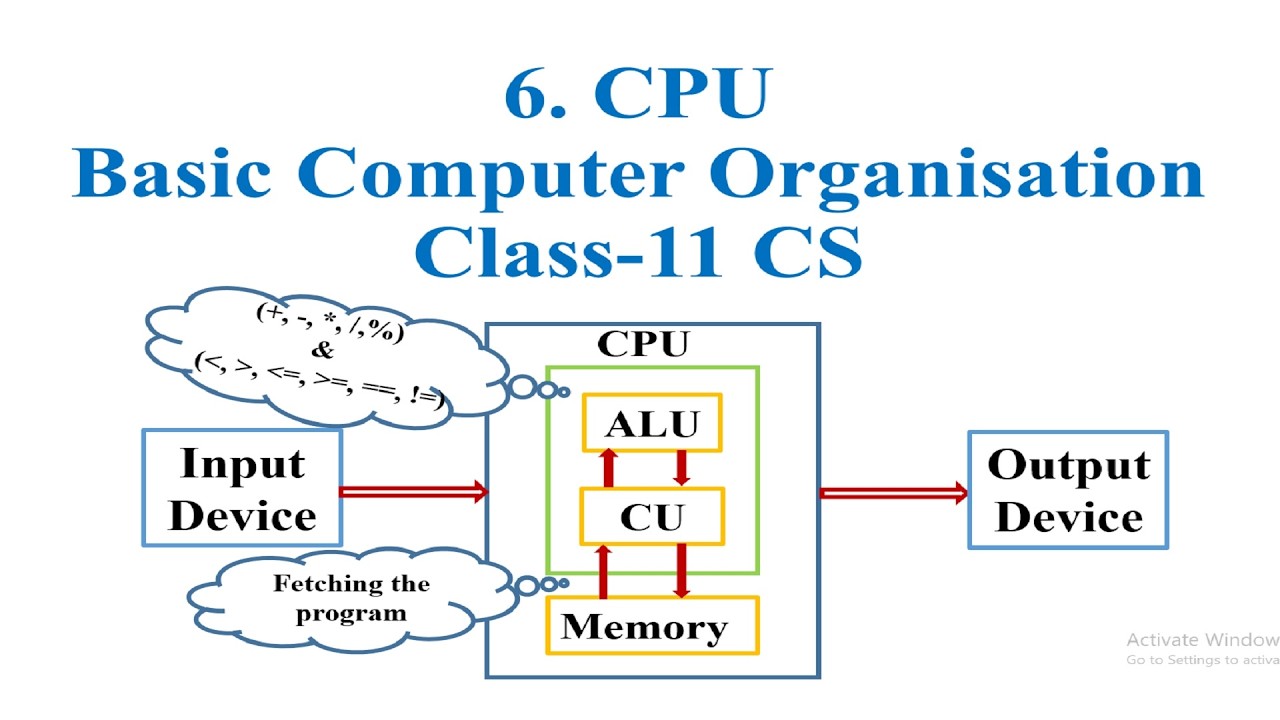 CPU || Basic Computer Organisation || Class-11 Computer 💻 Science (CS) related topic