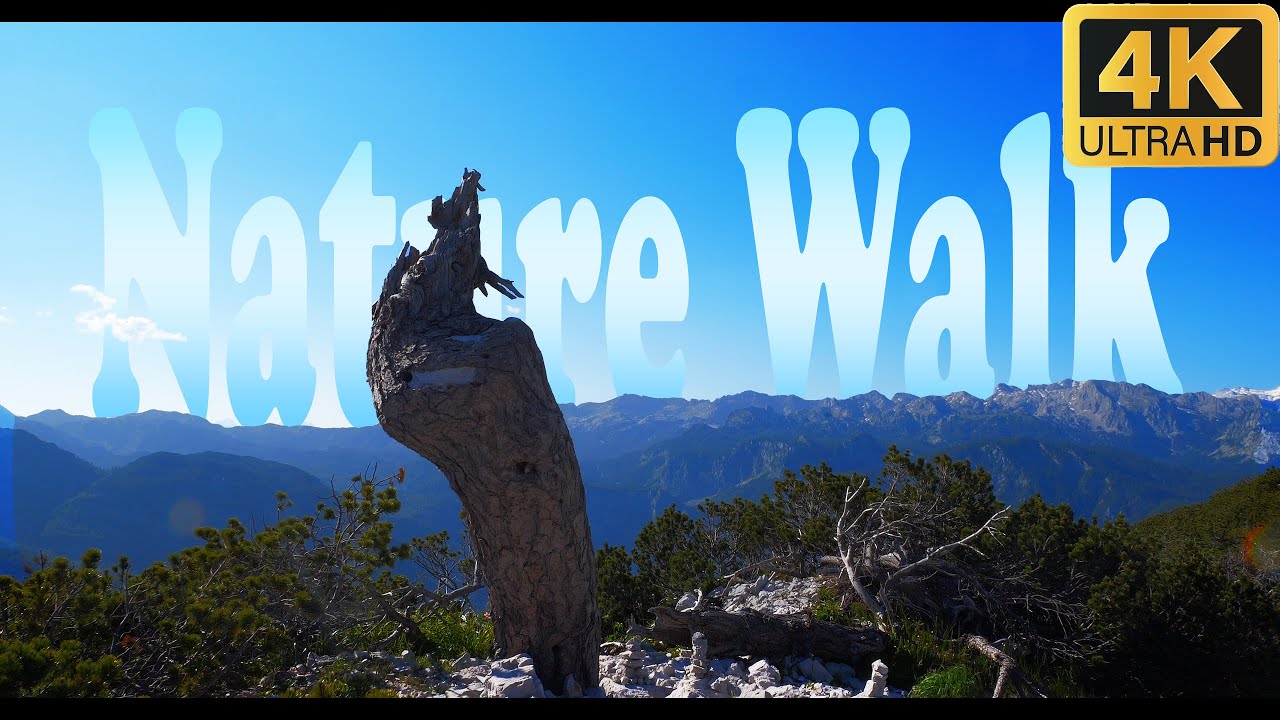 Virtual Walk | Vogel Ski Resort, Bohinj, Slovenia | 4K Nature Walk with music