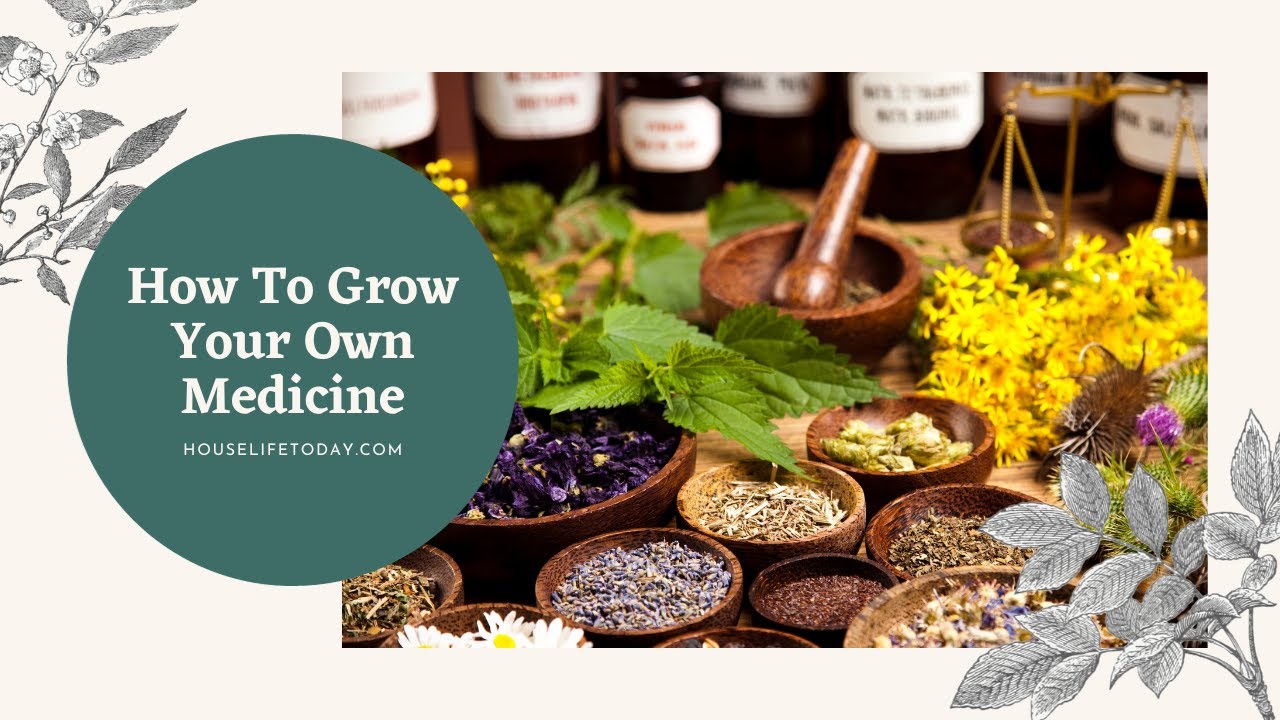 How To Grow Your Own Medicine
