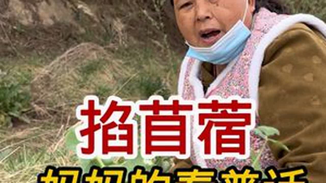 我妈妈的普通话越来越好了！#我的乡村生活 #记录我的农村生活 #苜蓿#挖野菜#野菜美食