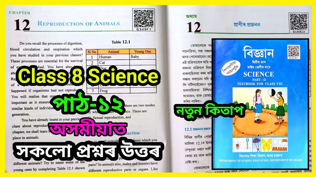 Class 8 Science Chapter 12 Assamese Medium | Class 8 Science Lesson 12 Assam | G3X9P7 | S1B9J3