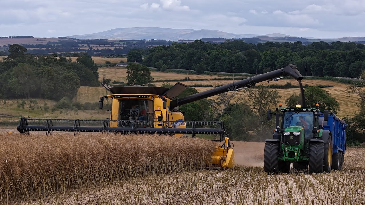 Combining OSR 2024 | New Holland CR9.90 John Deere 6215R