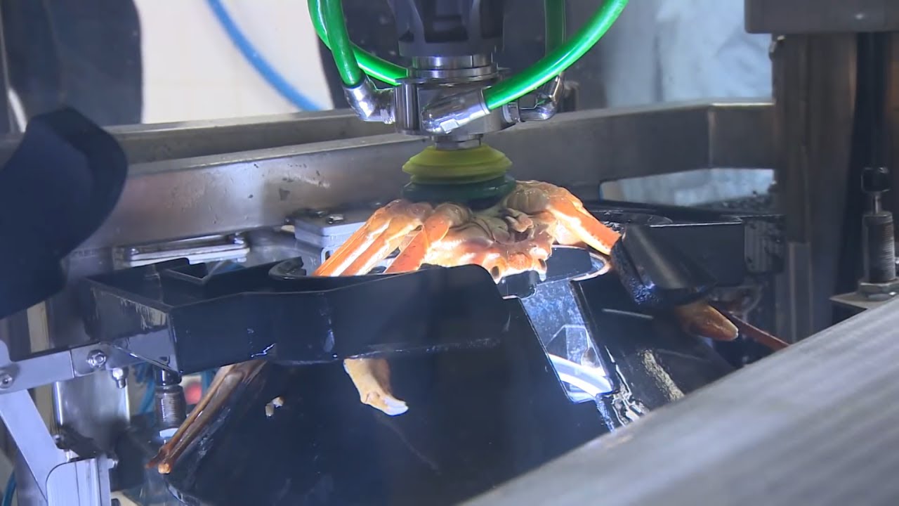 The Future of Crab Processing