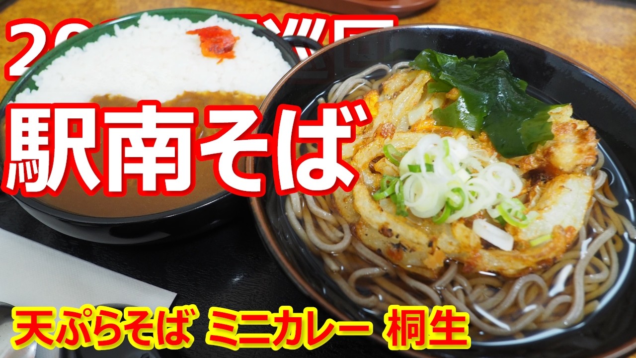 【駅南そば】ボリューミーなおそばとカレー！両毛線で桐生まで！天ぷらそば 桐生【蕎麦】 #立食いそば #駅南そば #桐生