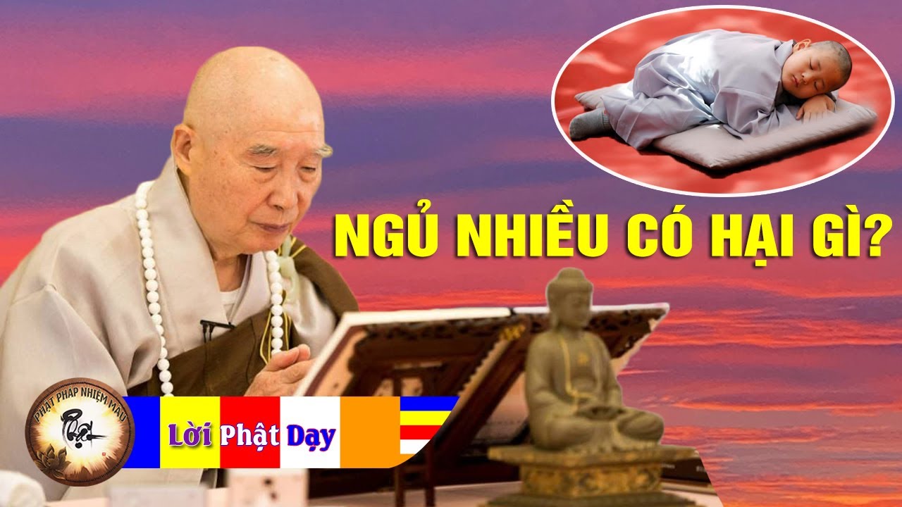Hòa thượng Tịnh Không MỚI NHẤT - Lời Phật Dạy Ngủ Nhiều Có Những Lỗi Gì? Phật Pháp Nhiệm Màu