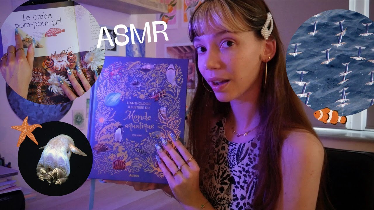 ASMR | Les espèces les plus fascinantes des fonds marins 🐙