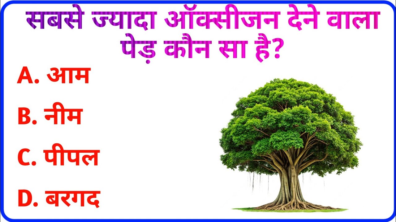 GK Question ||GK In Hindi ||GKQuestion and Answer || GK Quiz |