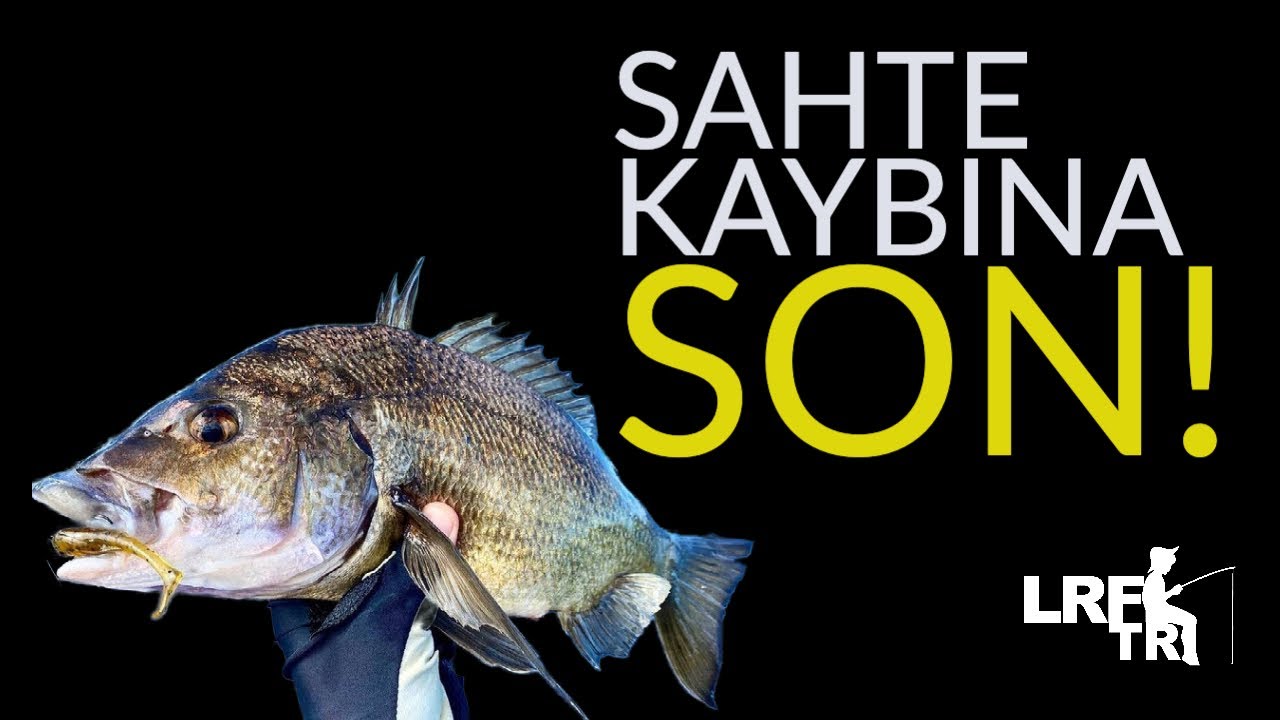 Sahte Kaybına SON! Kopmaz Silikonla Çupra Avı