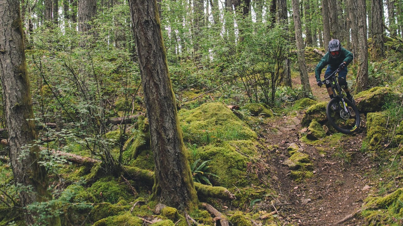Perfect conditions at Mount Tzouhalem - Vancouver Island Mountain Biking