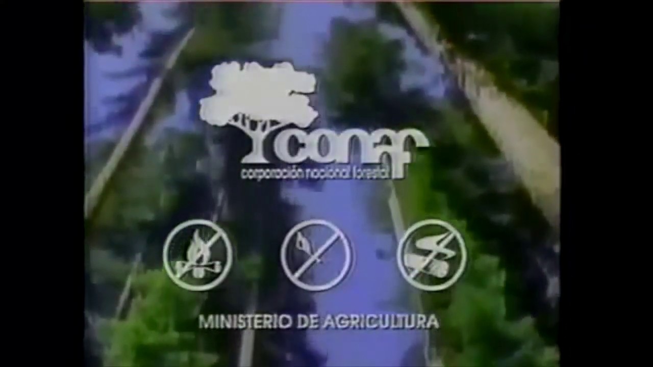 Campa&ntilde;a Conaf: Despierta, Chile se quema 1994-1996