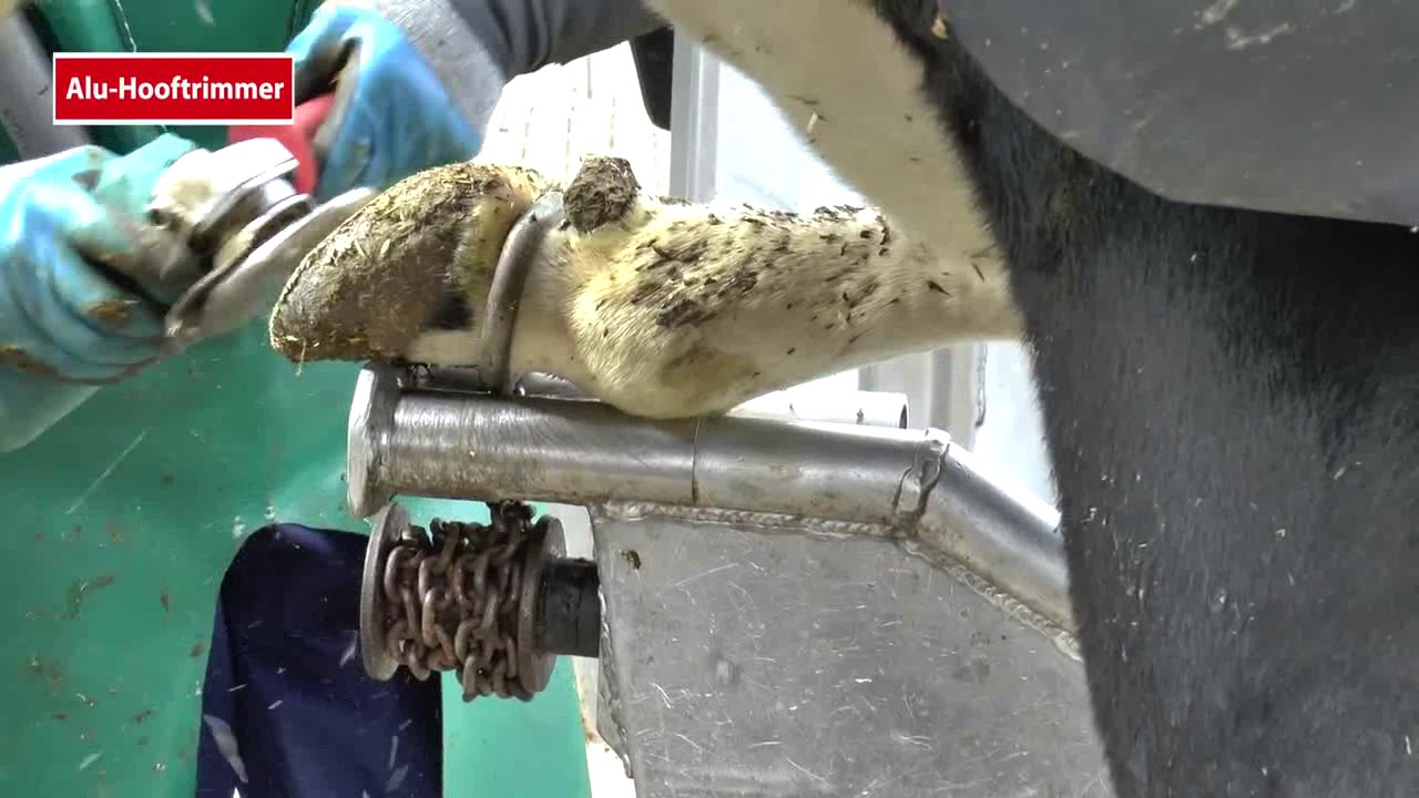 Alu-Hooftrimmer hoof trimming crush CC01 and CC02 - www.cowcare.eu