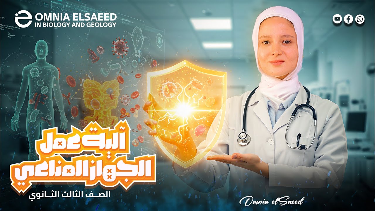 شرح آلية عمل الجهاز المناعي في الانسان 2025