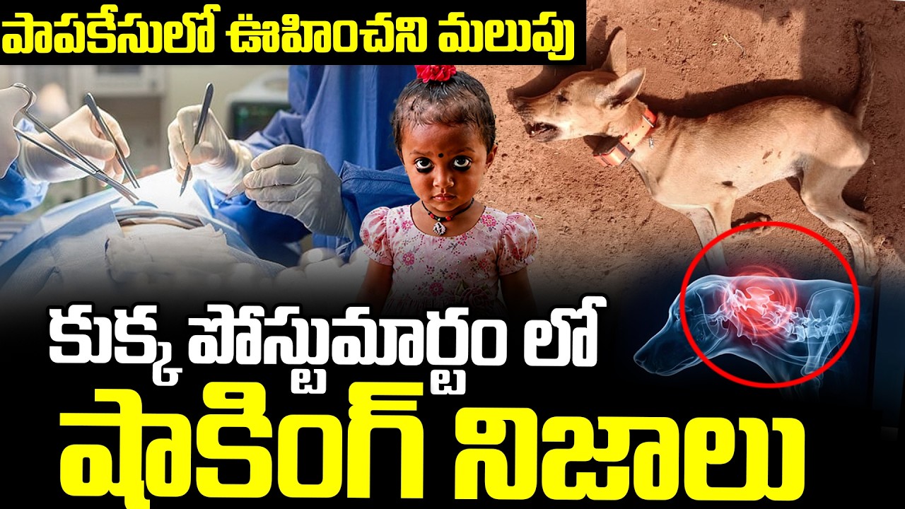 #live |  పాపకేసులో..| Jahnavi Missing Case Latest Updates | Kakinada Tuni Girl Incident | iDream