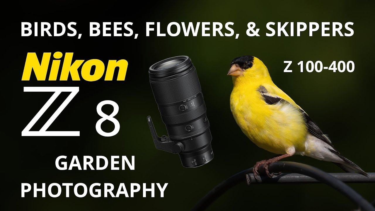 Nikon Z8 Birds, Bees, Flowers, & Skippers with the Z 100-400 Zoom Lens!