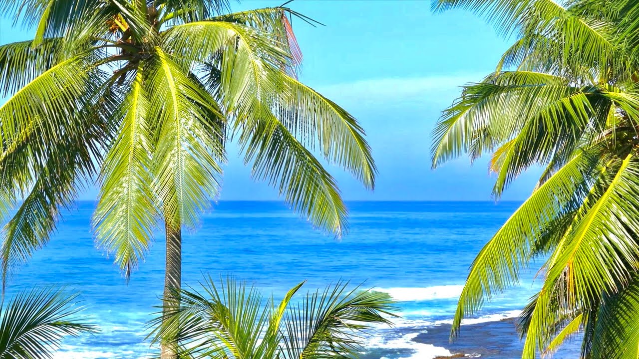 Sanftes Meeresrauschen zum Einschlafen: 3 Stunden Tropischer Strand, Entspannung & Urlaubsfeeling