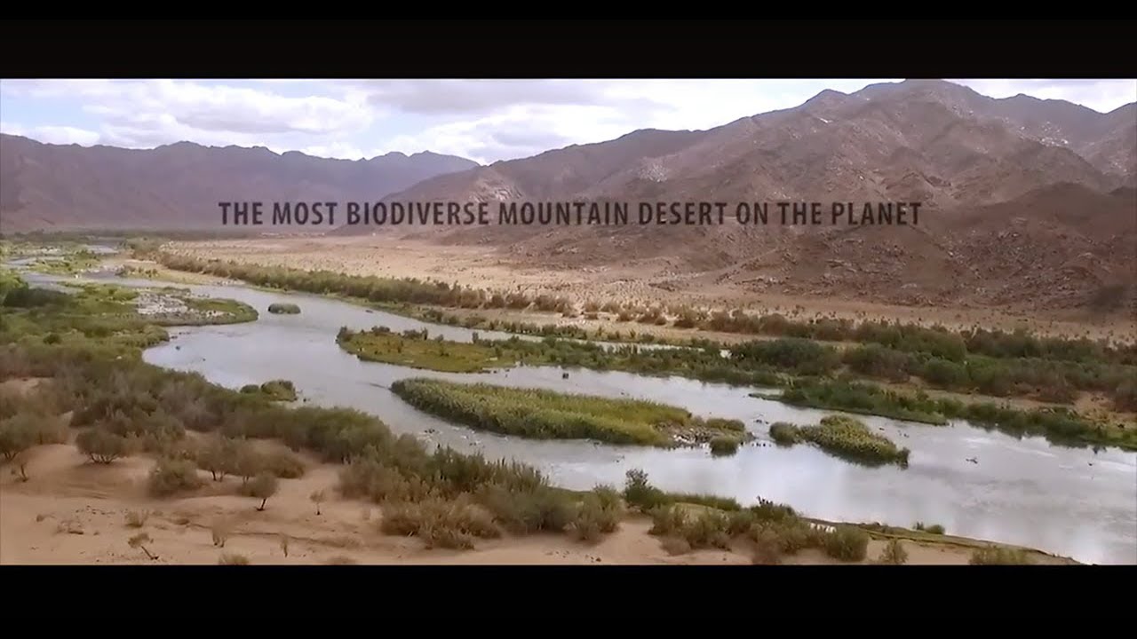 Richtersveld Wildrun&reg;: 110km of mountainous desert wilderness running