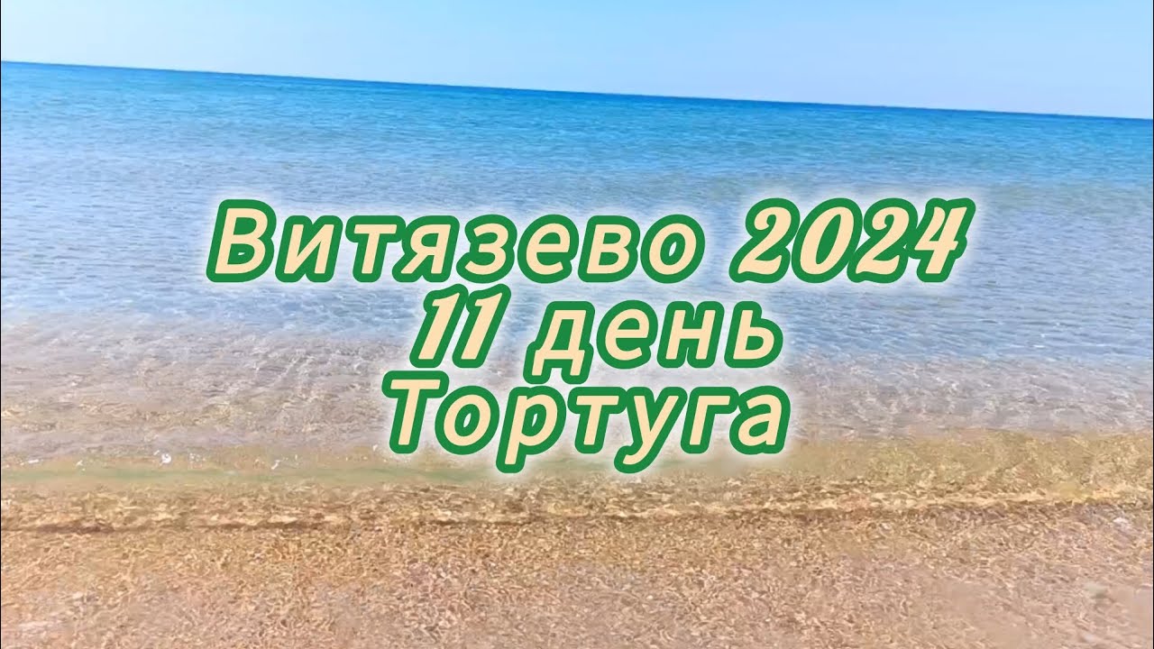 Витязево 2024. 11 день. Тортуга.