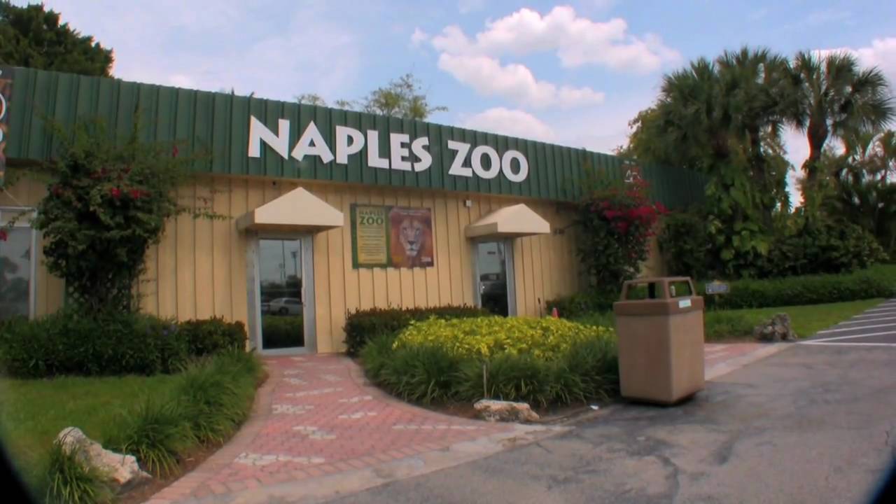 Naples Zoo 09