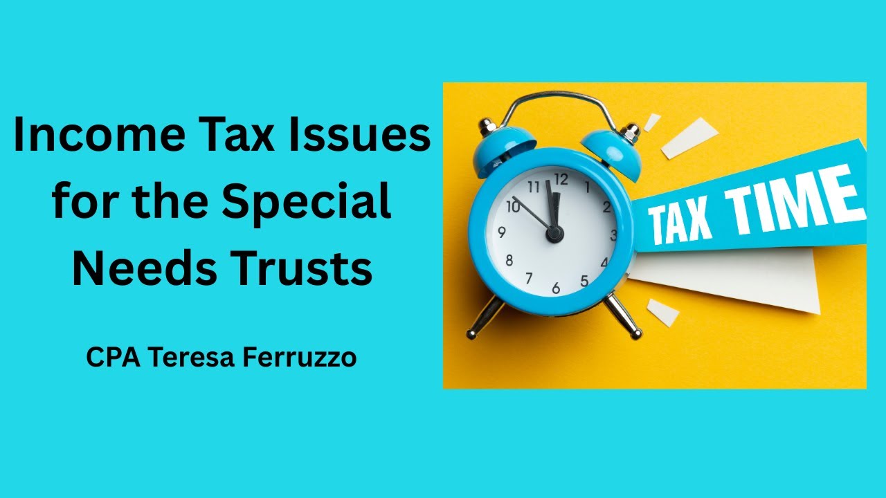 Income Tax Issues for the Special Needs Trusts