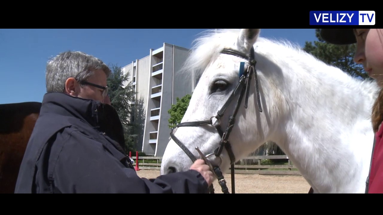 Vélizy TV : Poney Club de Vélizy