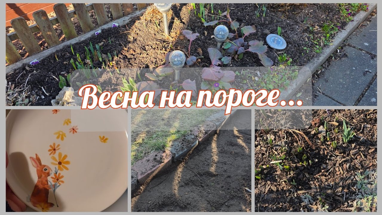 🇩🇪VLOG//Убираемся на дачки с удовольствием🧹🧹💪✨️❤️!