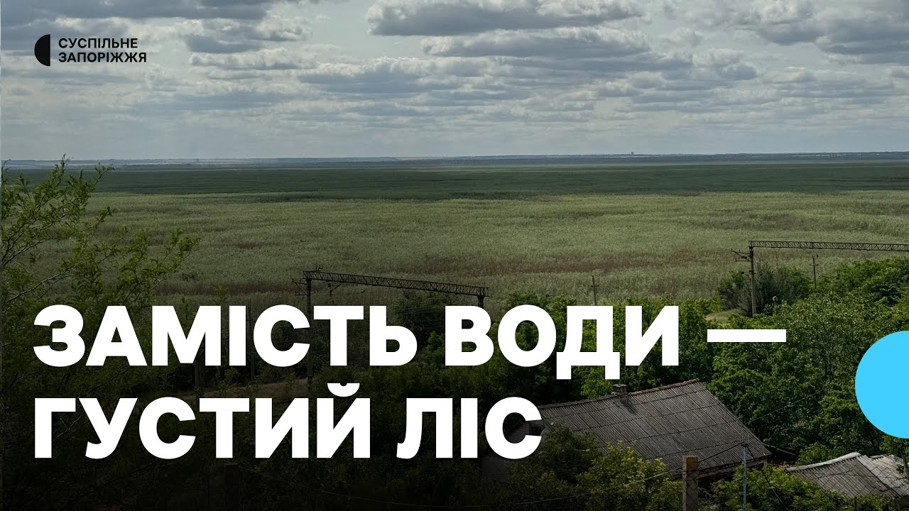 Кілометри густого лісу: який вигляд має Великий Луг після підриву Каховської ГЕС