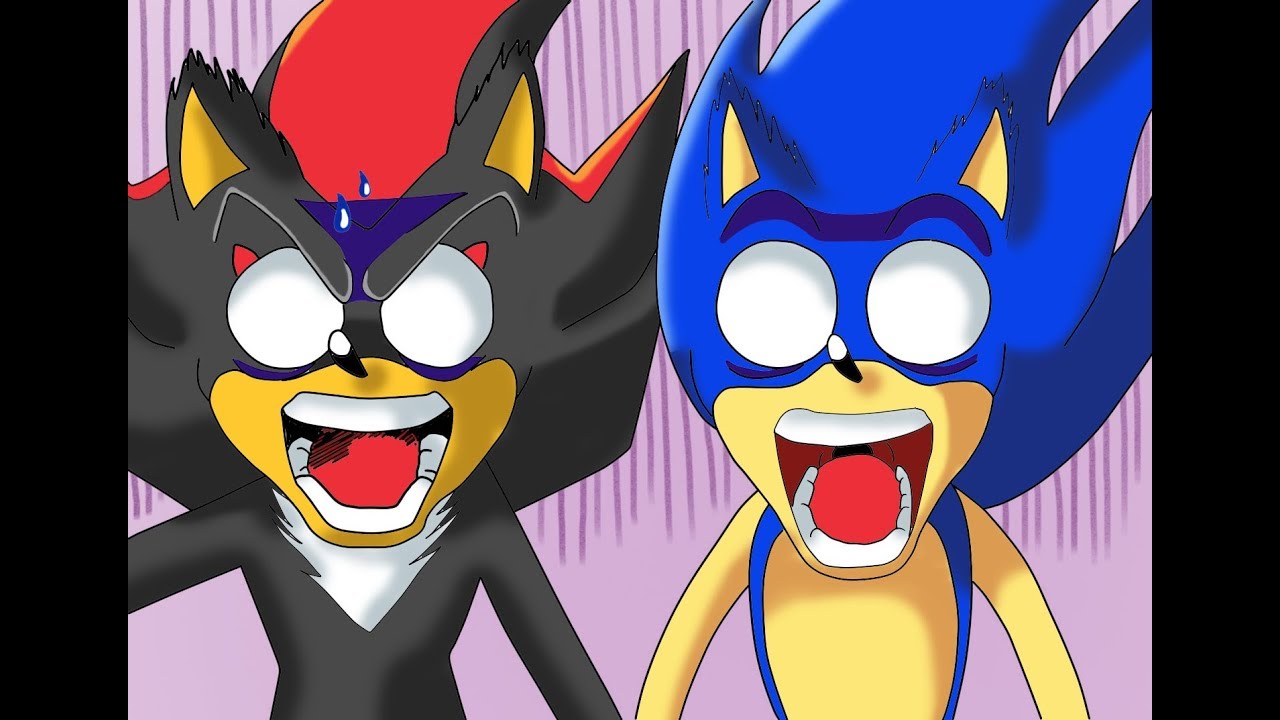 La cámara (Sonic y Shadow)