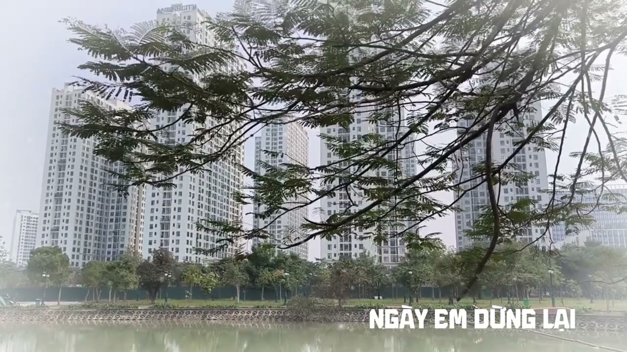 [Truyện Audio] NGÀY EM DỪNG LẠI/Bản tình ca dang dở