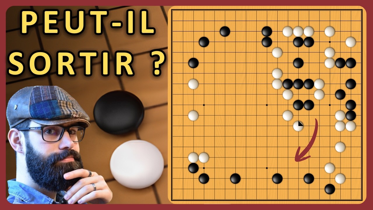 Peut-il sortir ? | J'affronte un 3 Dan Fox (79)